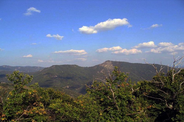 Vallée de la Beaume