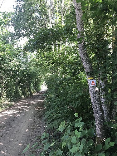De l'homme et de la nature (variante de 4 km)