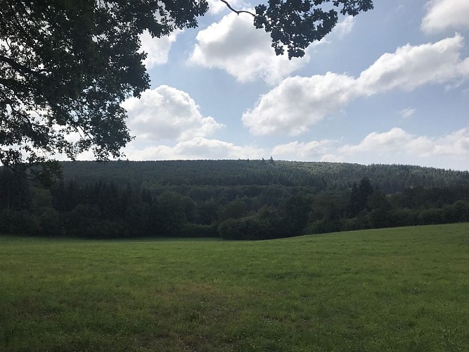 Saint Rémy - Randonnée De l'homme et de nature_3