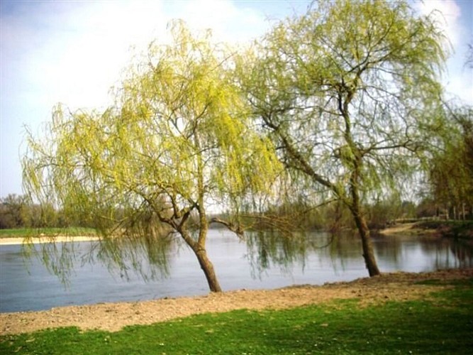 Sur le chemin de Saint-Jacques-de-Compostelle