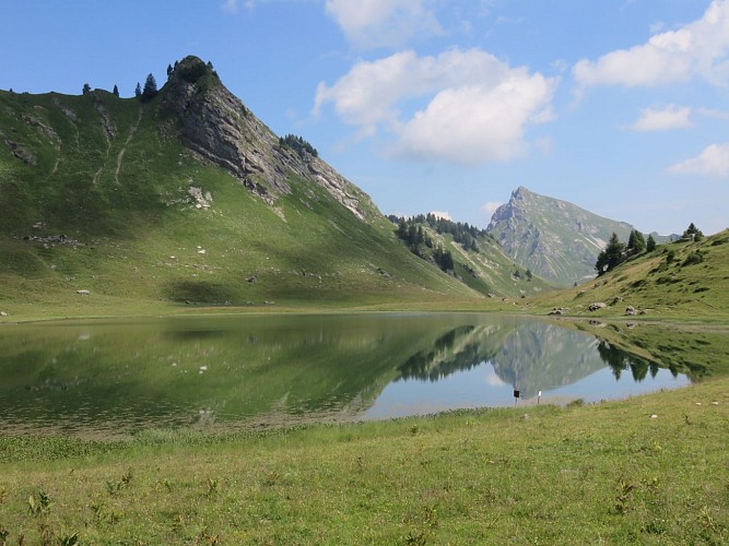 Wandeling : De Marcellyberg