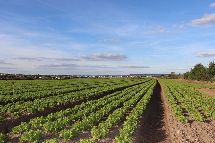 Etape 3 - Chemin de l'Espérance