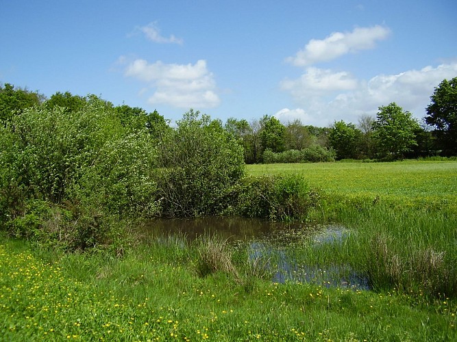 Etape 4 - Zone de compensation écologique départementale