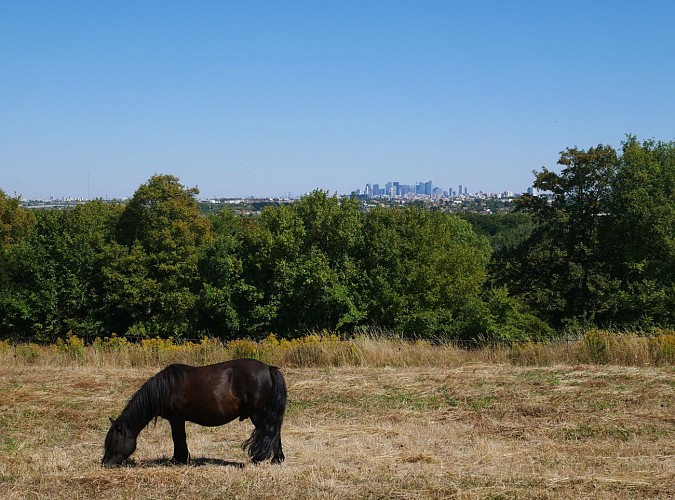 Etape 8 - La terrasse du château