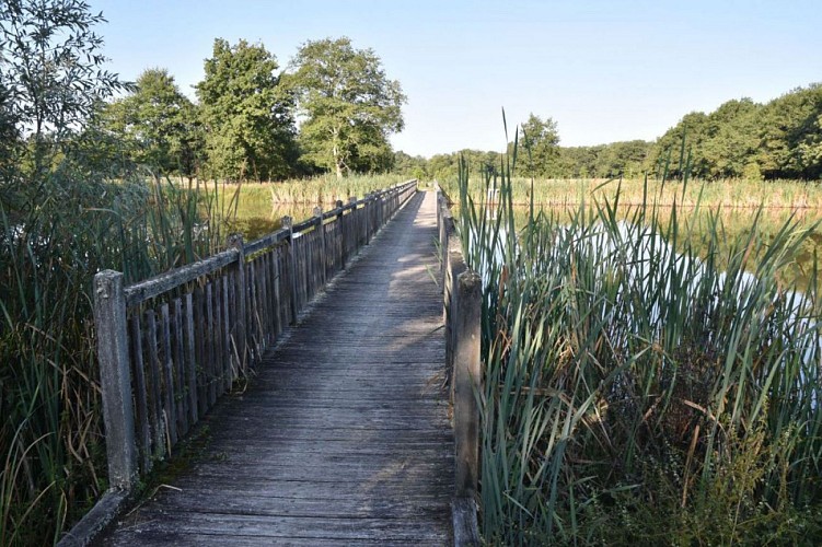 AS Menestreau en Villette VTT