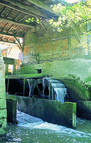 A la découverte de Marmont