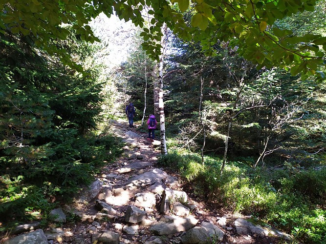 Début de l'ascension du Lizieux