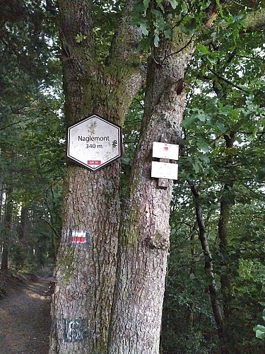 IMG_20200806_080053_1