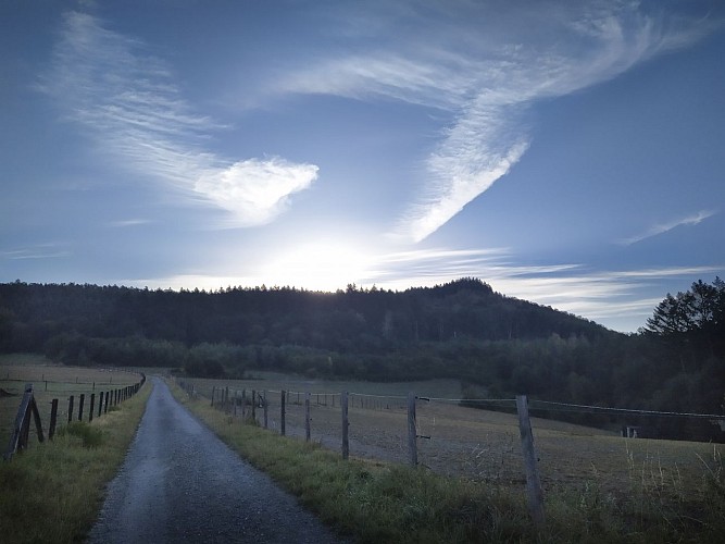 IMG_20200806_073757-01