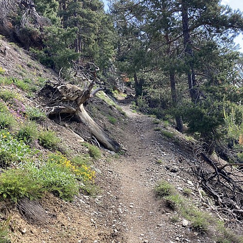 4 - La croix de Toulouse au départ de Briançon - Automne 2021