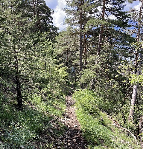 4 - La croix de Toulouse au départ de Briançon - Automne 2021