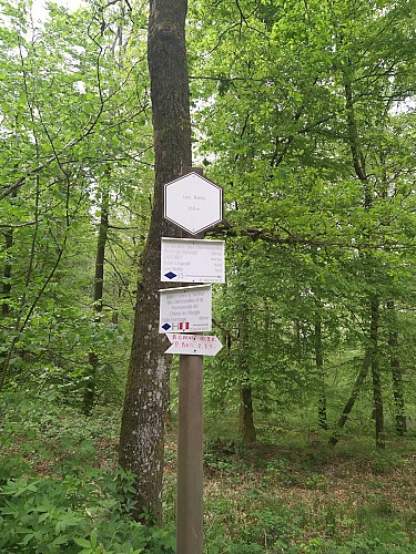 Laforêt_Sentier des Demoiselles (4)