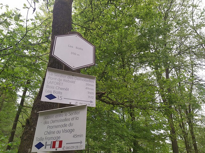 Laforêt_Sentier des Demoiselles (5)