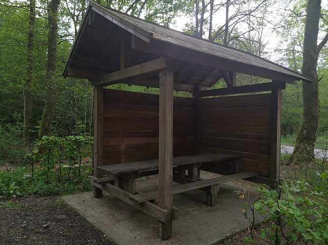 Laforêt_Sentier des Demoiselles (3)