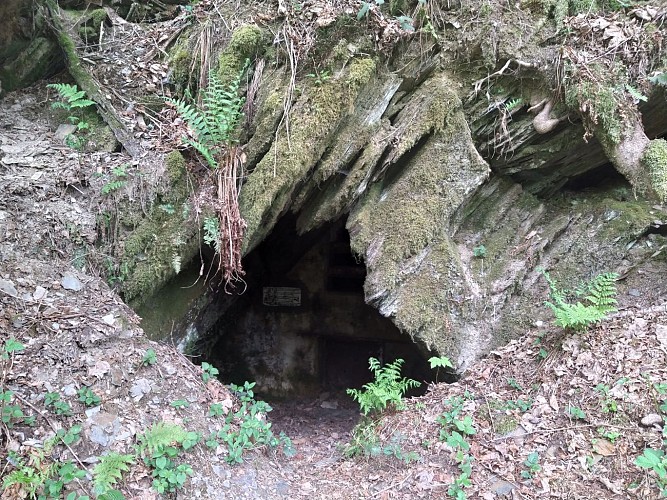 Laforêt_Sentier des Demoiselles (13)