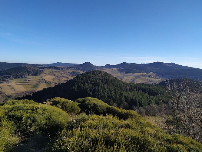 Suc de Piou - PR Le Montivernoux - Yssingeaux