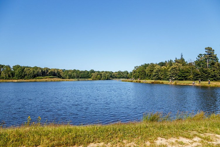 Etang de Bossieu