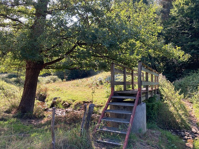 N°2 Par monts, vaux et forêts_Aveizieux