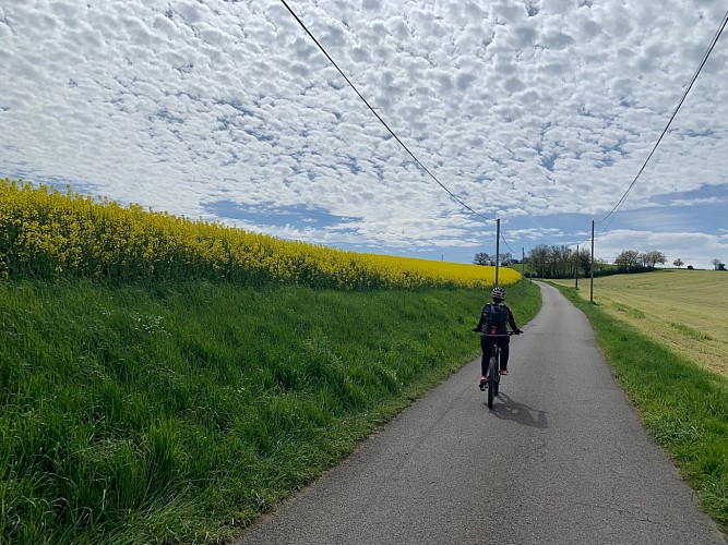 Circuit des belvédères