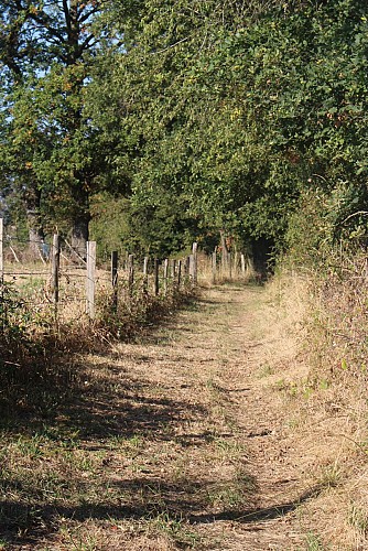 Circuit le pont de la Vourdiat