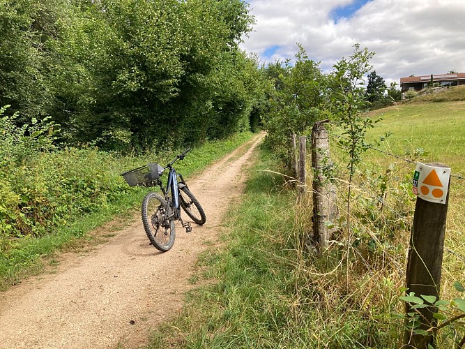 N°27 Le pont de Montagny_Salvizinet