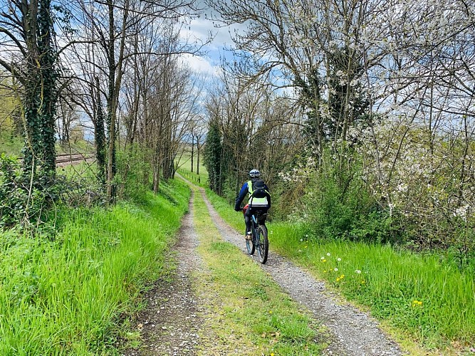 Circuit des bords de Loire de Pinay