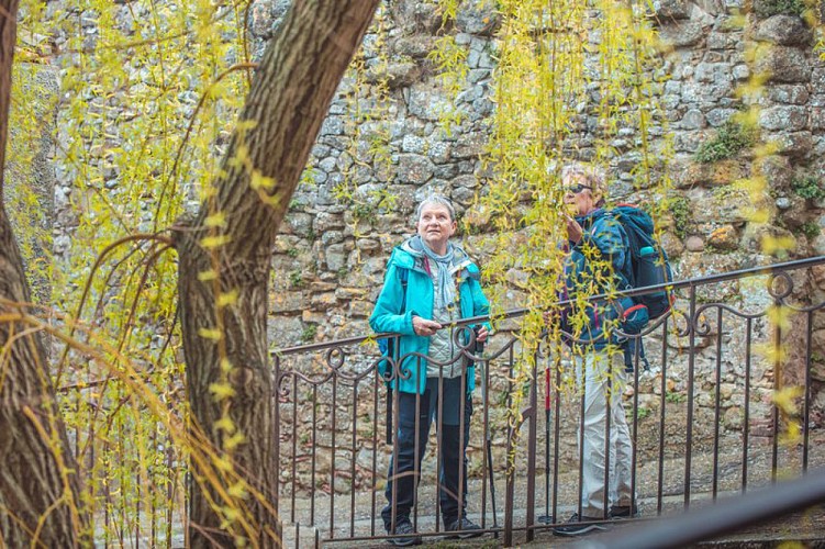 Route from the Pyrenean Piedmont to Santiago de Compostela Carcassonne to Fanjeaux - GR 78