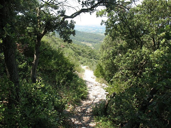 Sentier et panorama