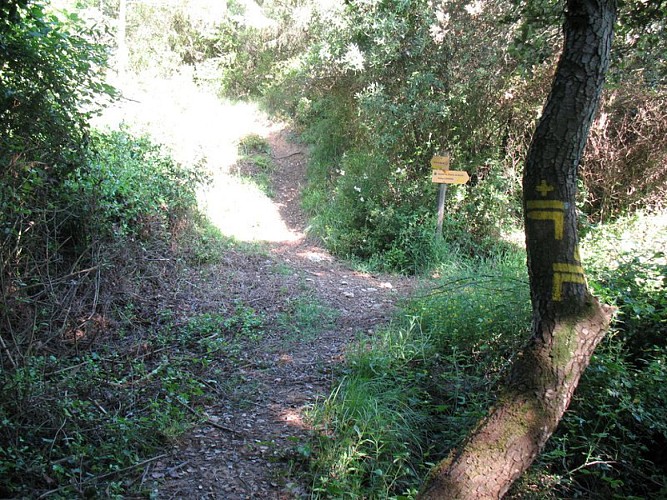 Sentier et balisage