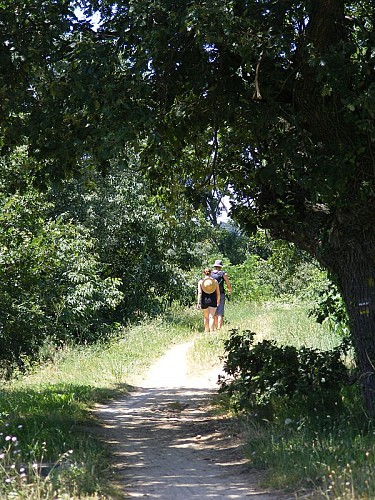 The green path - Le Chemin Vert by bike