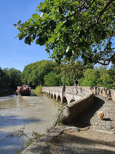 L'épanchoir court - Canal du Midi