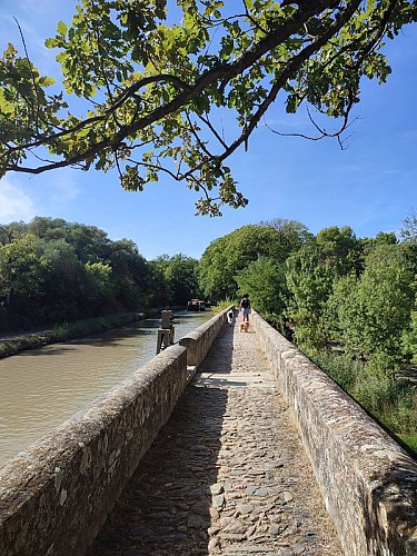 L'épanchoir court - Canal du Midi