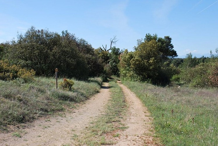 The "Capitelles"