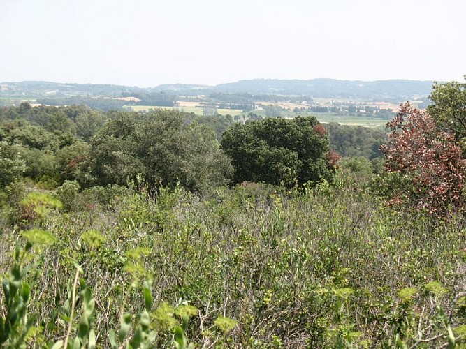 The "Capitelles” - Le Cagarot