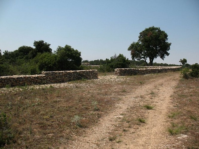 The "Capitelles” - Le Cagarot