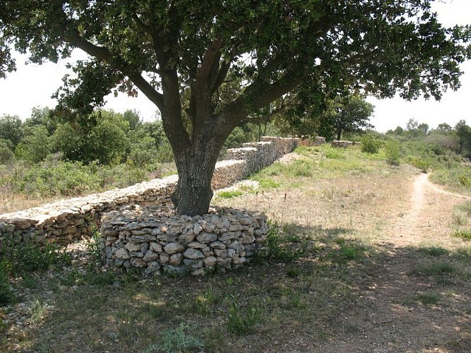 The "Capitelles” - Le Cagarot