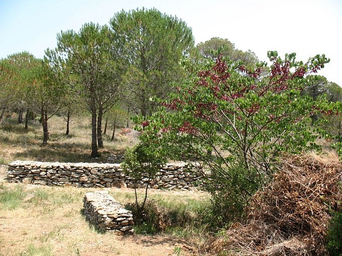 The "Capitelles” - Le Cagarot