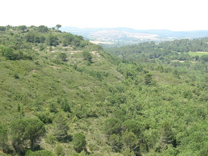 Les capitelles - Le Cagarot