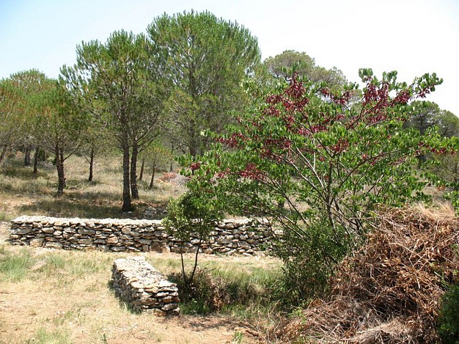 Les capitelles - Le Cagarot