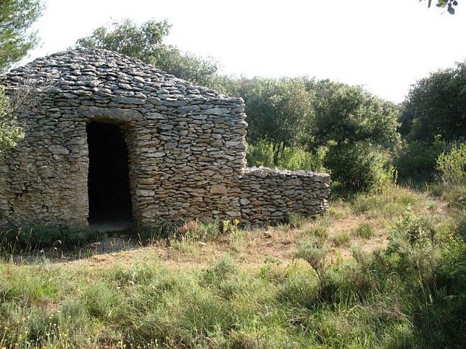 The “Capitelles” - The Scrubland Steam