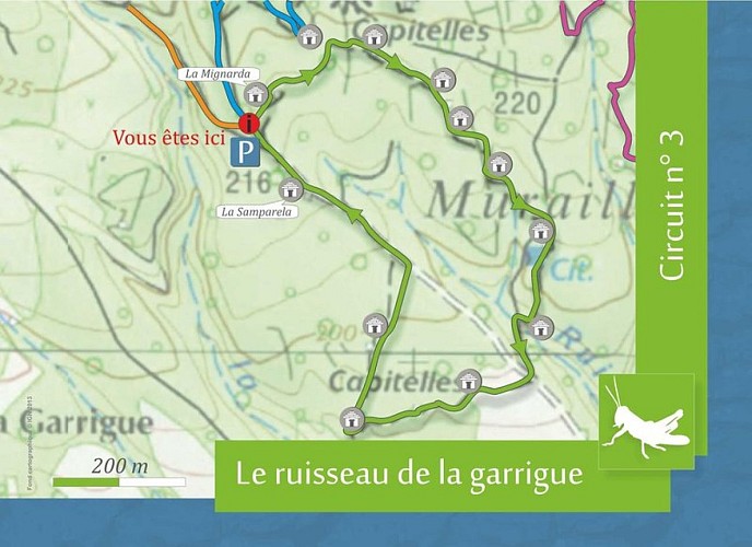 The “Capitelles” - The Scrubland Steam
