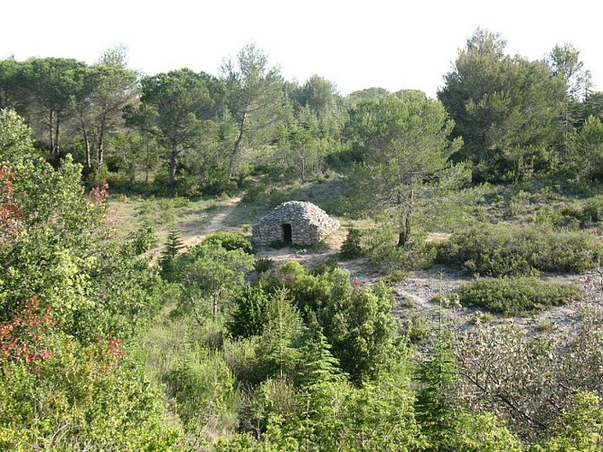 Les capitelles - Le Ruisseau de la garrigue