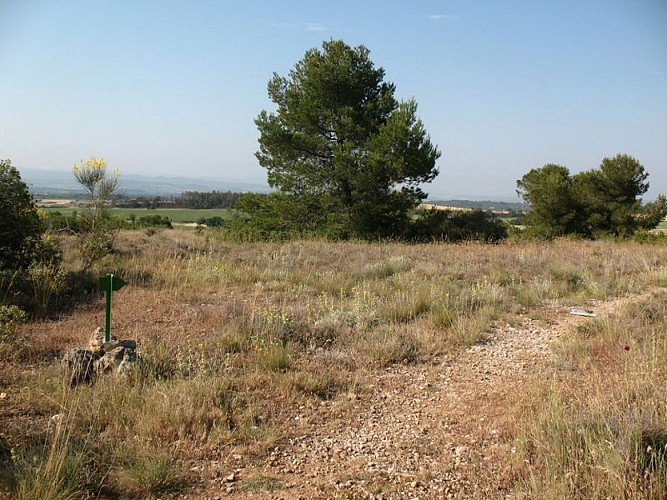 Les capitelles - Le Ruisseau de la garrigue