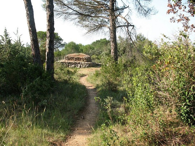 Les capitelles - Le Ruisseau de la garrigue