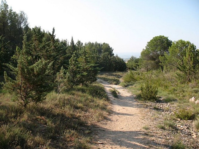 Les capitelles - Le Ruisseau de la garrigue