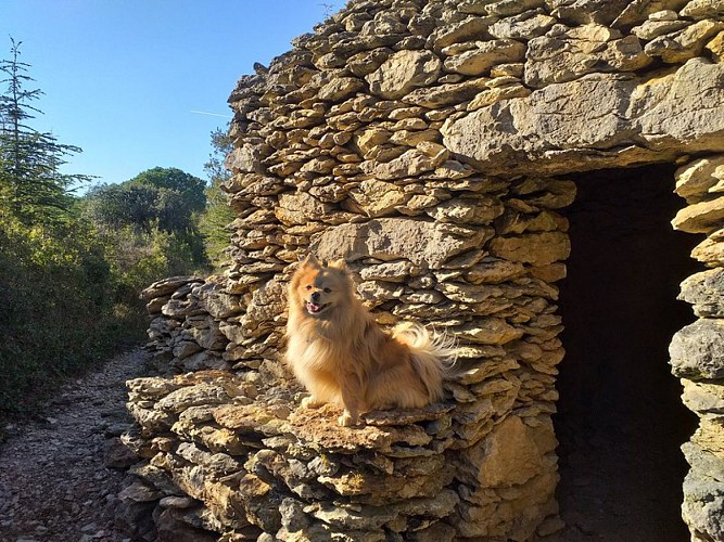 Les capitelles - Les Murailles d'Aribaud
