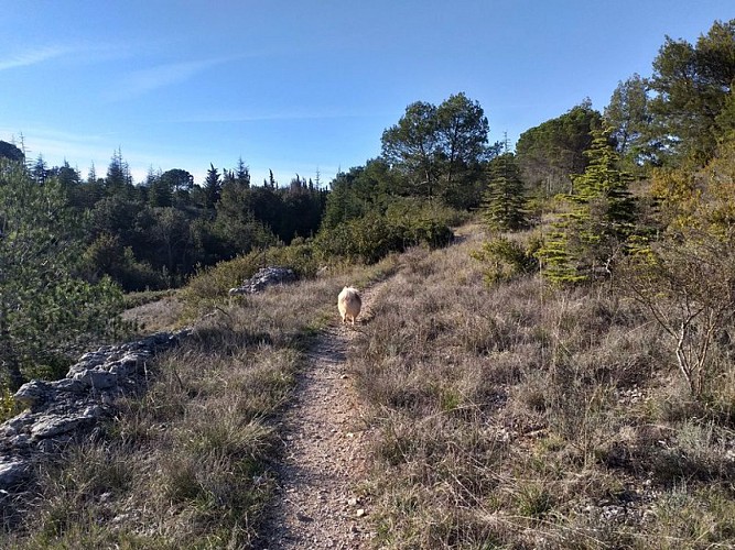 Les capitelles - Les Murailles d'Aribaud