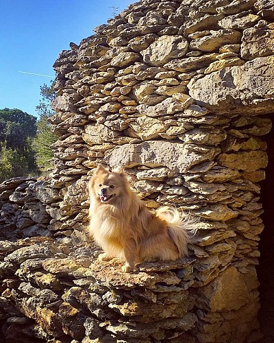 Les capitelles - Les Murailles d'Aribaud