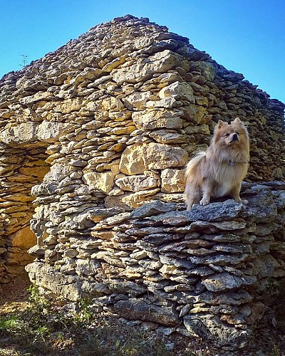 Les capitelles - Les Murailles d'Aribaud