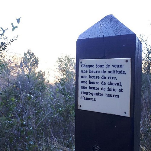 The Poetry Trail (Le sentier en poésie)